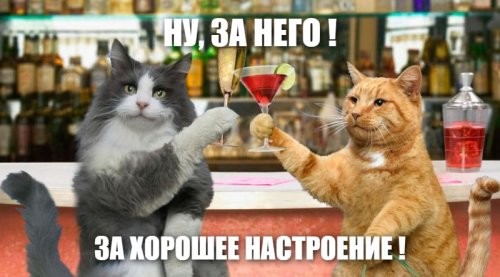 пока тут все на Степаныча любуются, в Сардинии женщины сами себе наливают