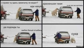 Полярные медведи на покинутой советской метеорологической станции