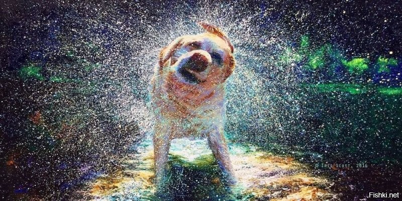 Солянка от 21.12.2021