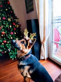 Лайк, однозначно!