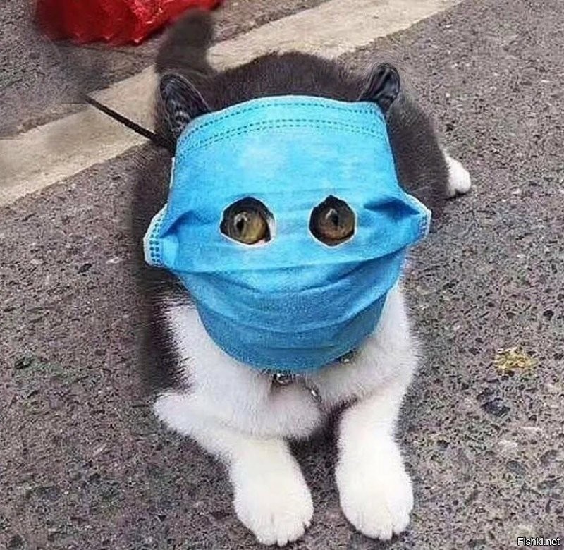 Солянка от 21.12.2021