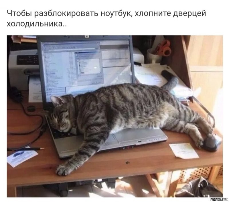 Солянка от 21.12.2021