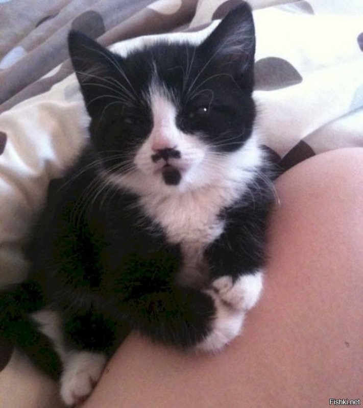 Солянка от 21.12.2021