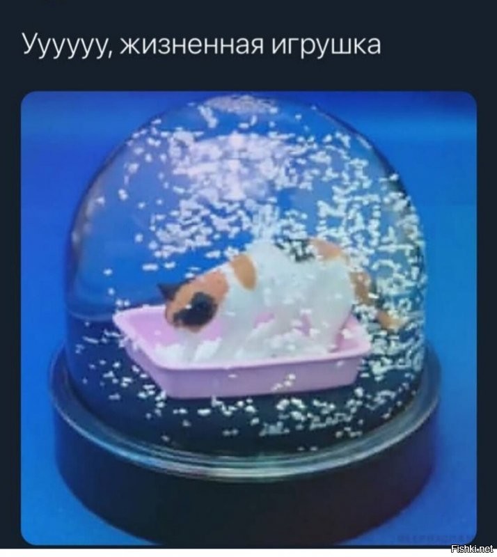 Солянка от 21.12.2021