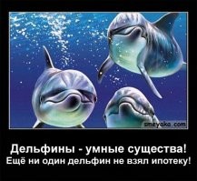 А вот еще любопытный факт: