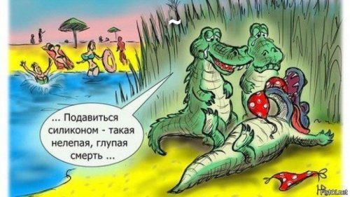 Солянка от 21.12.2021