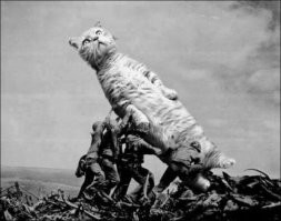 Демотиваторы для прекрасного настроения