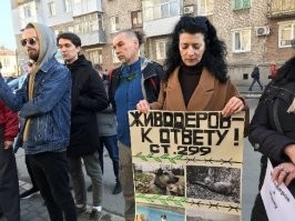 Авария дня. В Ленобласти после лобового ДТП водителя пришлось вырезать из «Нивы»