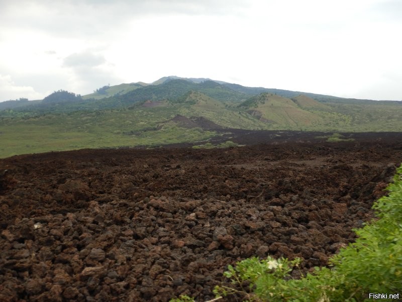 Вот, собственно, пример лавового поля. Из личных архивов. В этот раз туда не добрались.