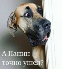 Жена Макрона - трансгендер? Первая леди Франции будет жаловаться на СМИ, которые заподозрили ее в смене пола