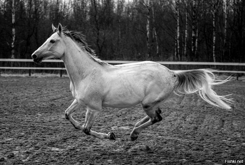 По идее,  да.