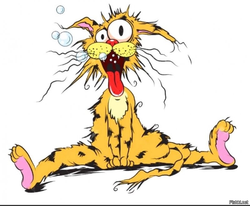 вызов принят