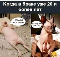 Картинки в чёрно-белых тонах. Выпуск 67