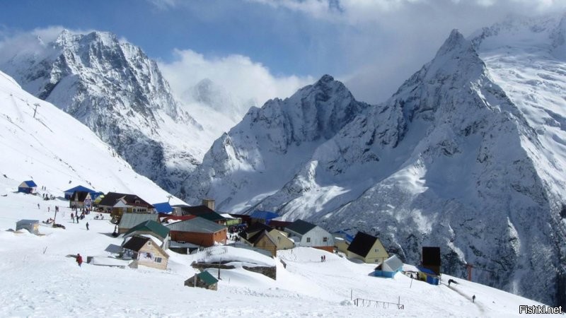 Солянка от 21.12.2021