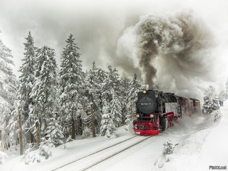 Солянка от 21.12.2021