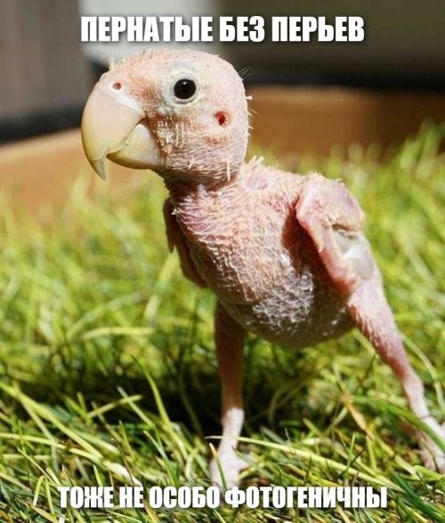 Солянка от 21.12.2021