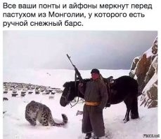 15 снимков из России, которые удивили иностранцев