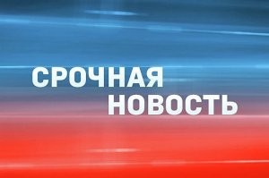 Установка москитной сетки пошла не по плану