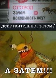 Как живут участники шоу "Каламбур" после его закрытия