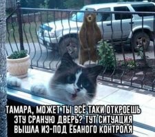 А с Наташей что? Откуда взялась Тамара? Я волнуюсь за Наташу....