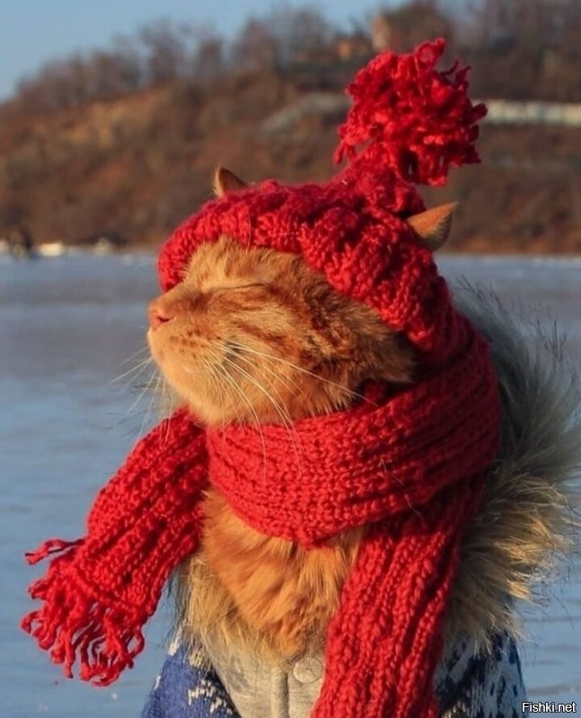 Солянка от 22.12.2021