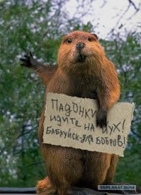 И не только Бабруйск....