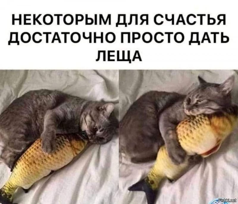 - Извините, но это должно упасть