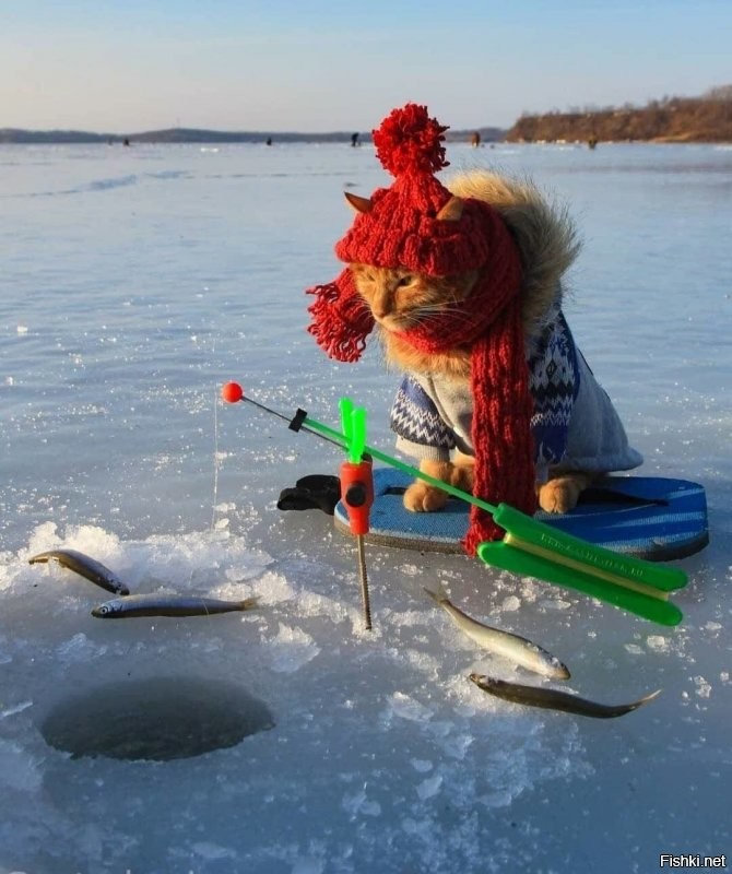 Солянка от 22.12.2021