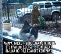 А Наташа где? Спит? До сих пор?!!