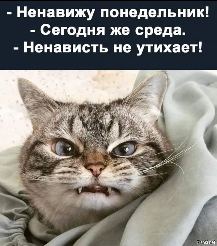 Солянка от 22.12.2021