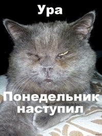 Ребёнок ночью без одежды дошёл до школы