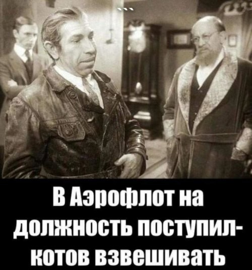 Солянка от 22.12.2021