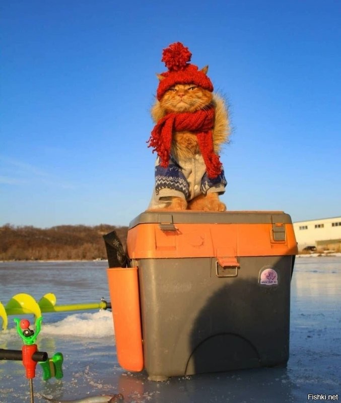 Рыбное место.