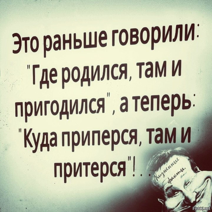 Откуда родился там и пригодился картинка