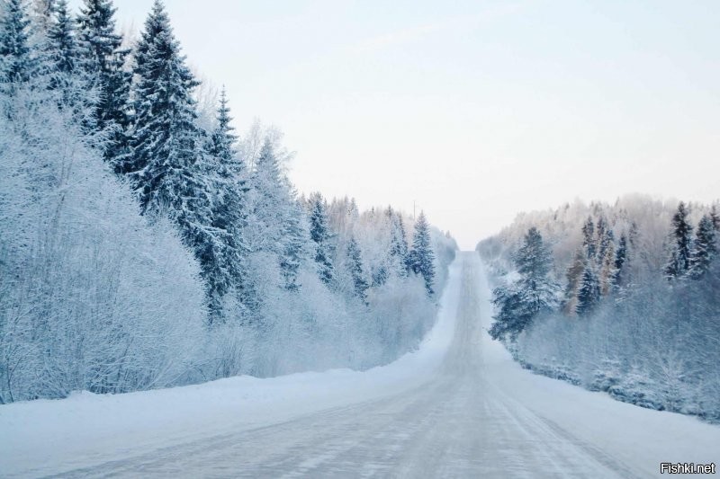 Солянка от 22.12.2021