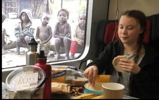 Гринписовцы перепутали гризли-альбиноса с белым медведем и отправили его на Северный Полюс