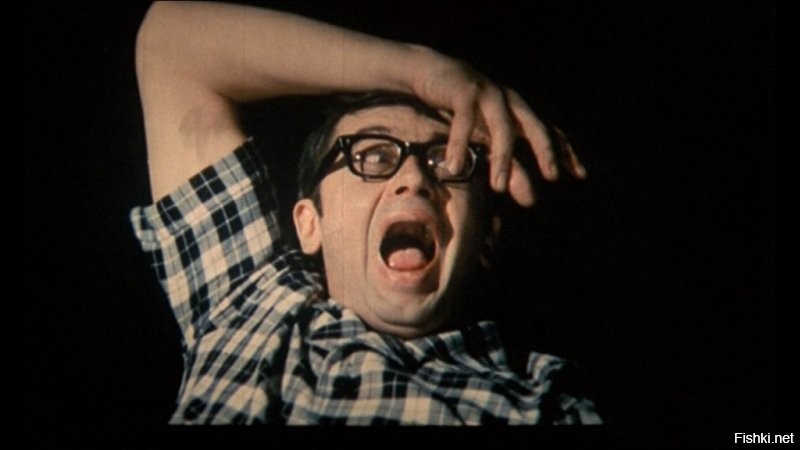 Гринписовцы перепутали гризли-альбиноса с белым медведем и отправили его на Северный Полюс