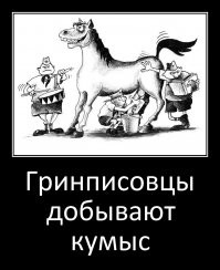 Гринписовцы перепутали гризли-альбиноса с белым медведем и отправили его на Северный Полюс