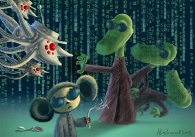 Красная таблетка или синяя?