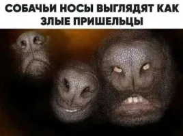 Блин, а я сов увидел