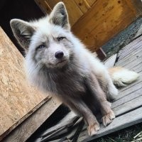 Чем занимаются бывшие участницы популярного проекта «ВИА Гра»