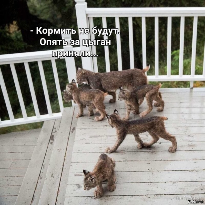 Солянка от 23.12.2021