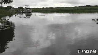 Озеро Хевиз (Heviz)