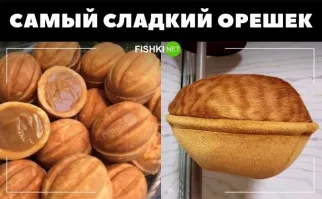 Смешные и познавательные картинки