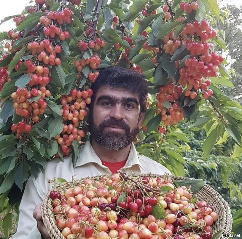 Солянка от 23.12.2021