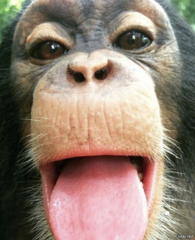 Солянка от 22.12.2021