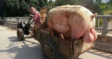 У животного мира есть своя мощная и пугающая сторона