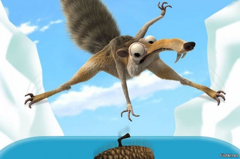 Енот ассасин