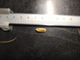 У каждого по разному выходят. Да и сами камни разные.
Вот, последний что вышел сам, самый крупный из всех. Под напором пива вылетел. Специально в ванной его ловил :). Только самым кончиком его почувствовал.
Ну когда по мочеточнику шёл, конечно чувствовал его, неделю шёл. Больно было конечно, но не так чтобы совсем вах!