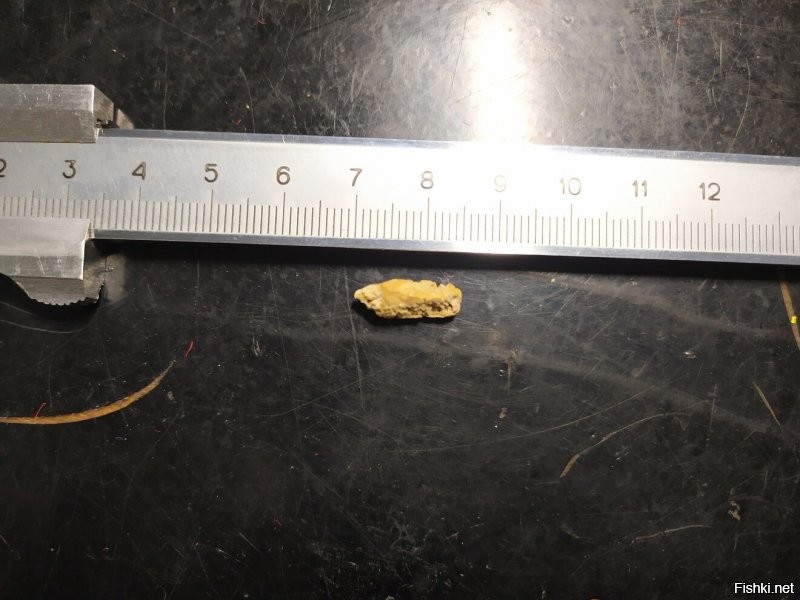 У каждого по разному выходят. Да и сами камни разные.
Вот, последний что вышел сам, самый крупный из всех. Под напором пива вылетел. Специально в ванной его ловил :). Только самым кончиком его почувствовал.
Ну когда по мочеточнику шёл, конечно чувствовал его, неделю шёл. Больно было конечно, но не так чтобы совсем вах!